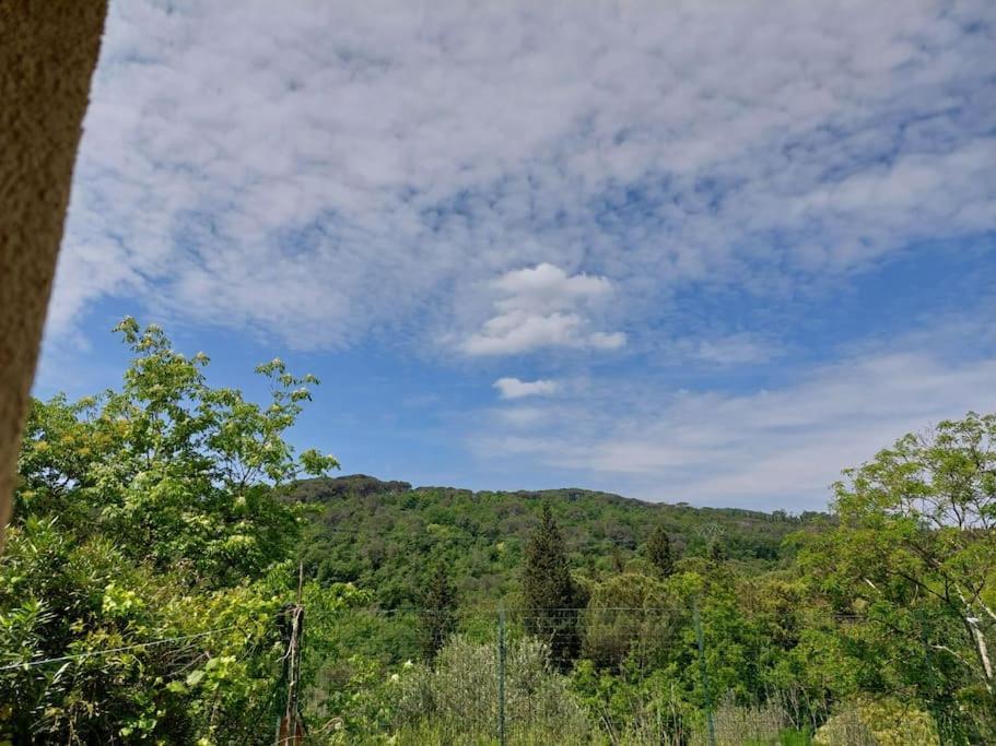 Apartament Dependance Nel Chianti A Pochi Minuti Da Firenze Impruneta Zewnętrze zdjęcie